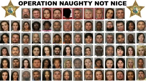 Porn star, teen among the 80 arrested in Polk County。